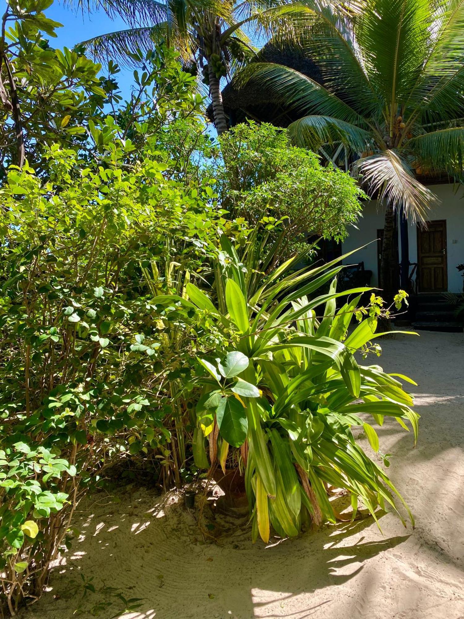 The Seles Boutique Hotel Gazija Екстер'єр фото